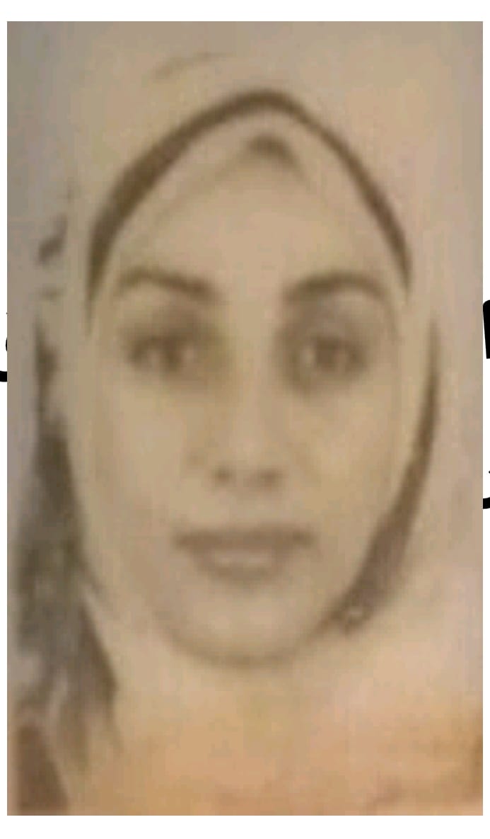 Magy Abd Elkade Abd Elkalek Elnory